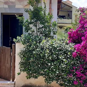 https://8-via-v-monti.in-sardinia.net